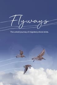 Flyways' Poster