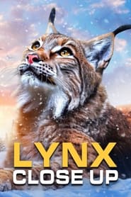 Lynx  Close Up' Poster