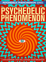 Psychedelic Experiences' Poster