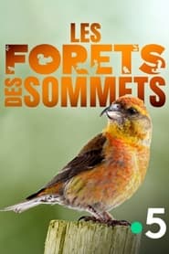 Les forts des sommets' Poster