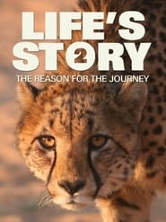 Lifes Story 2 The Reason For The Journey' Poster