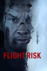 Flight Risk' Poster