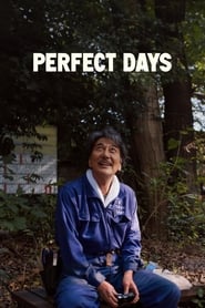 Perfect Days' Poster