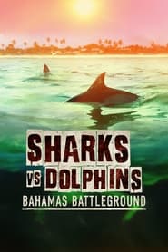 Streaming sources forSharks vs Dolphins Bahamas Battleground