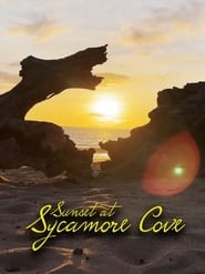 Sunset at Sycamore Cove' Poster