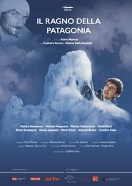 Il ragno della Patagonia' Poster