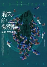 Lost Butterfly' Poster