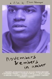 Novembers  Embers in Amber' Poster