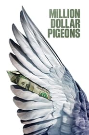 Million Dollar Pigeons' Poster