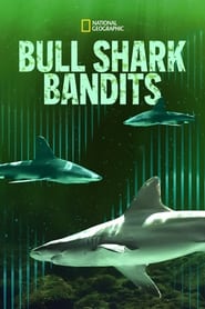Bull Shark Bandits' Poster
