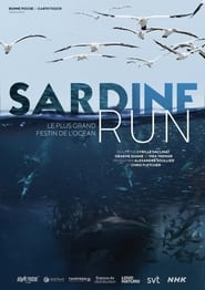 Sardine run le plus grand festin de locan' Poster