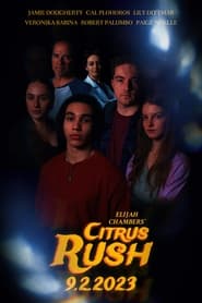 Citrus Rush' Poster