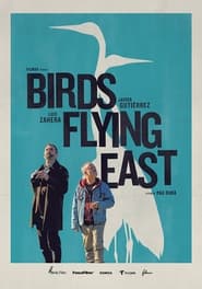 Birds Flying East' Poster