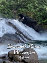 Skykomish River Ambience' Poster