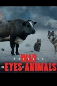 War Through the Eyes of Animals' Poster