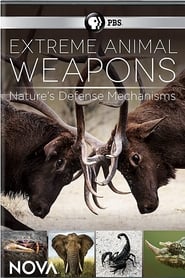 Extreme Animal Weapons' Poster