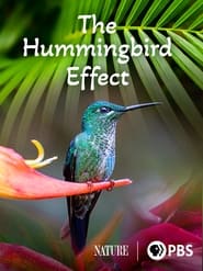 The Hummingbird Effect' Poster