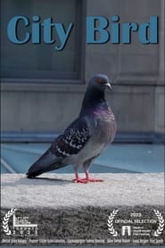 City Bird' Poster