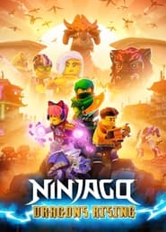 LEGO Ninjago Dragons Rising' Poster