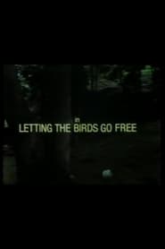 Letting the Birds Go Free' Poster