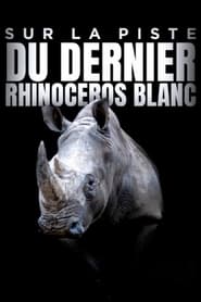 Sur la piste du dernier rhinocros blanc' Poster