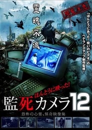 Paranormal Surveillance Camera 12' Poster