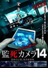 Paranormal Surveillance Camera 14' Poster