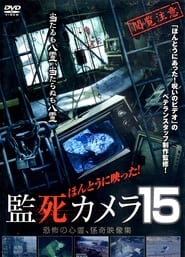 Paranormal Surveillance Camera 15' Poster