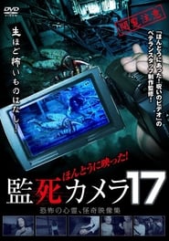 Paranormal Surveillance Camera 17' Poster