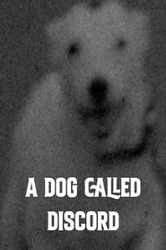 A Dog Called Discord' Poster