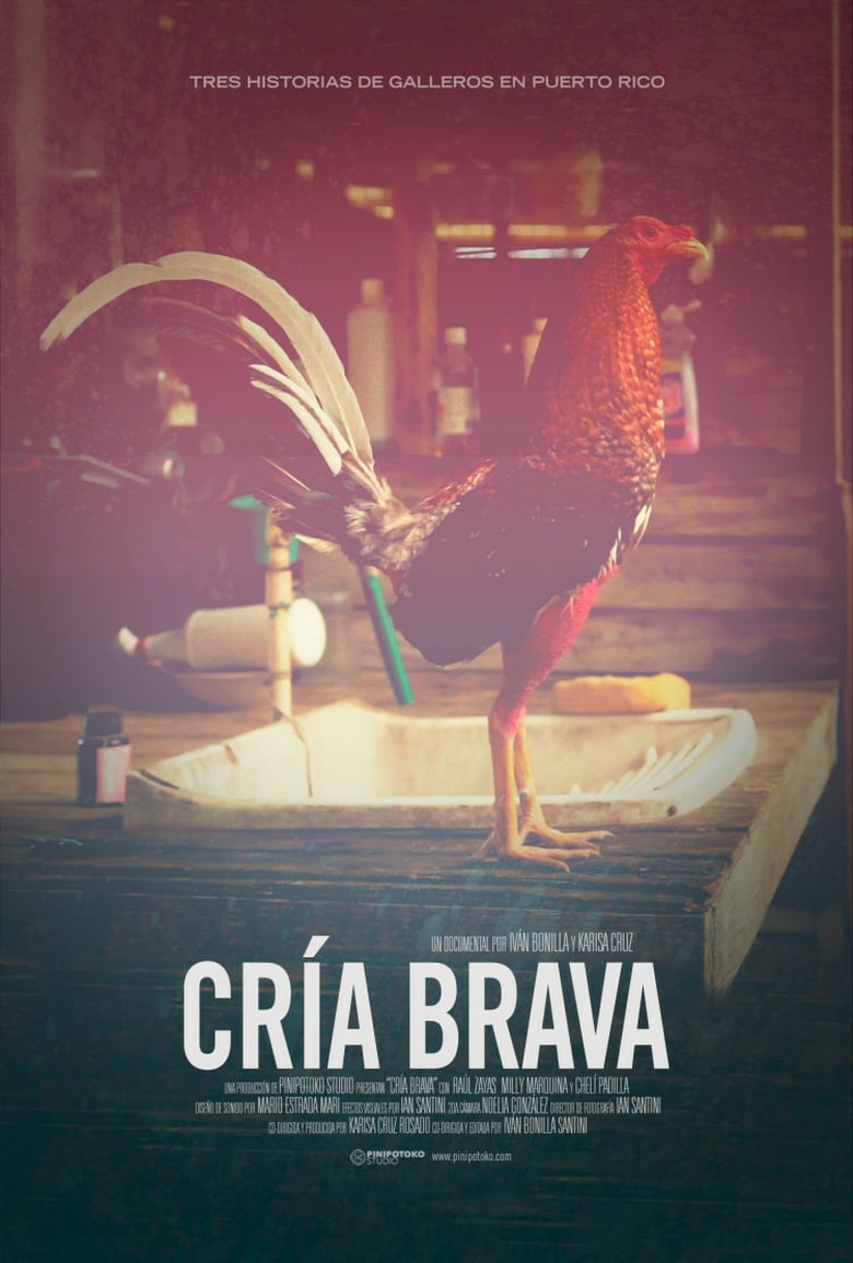 A Fierce Breed Poster