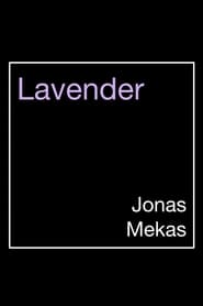 Lavender' Poster