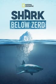 Shark Below Zero' Poster