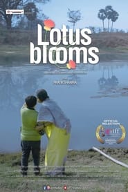 Lotus Blooms' Poster