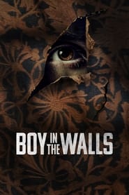 Boy in the Walls' Poster