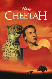 Cheetah' Poster