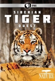Siberian Tiger Quest' Poster