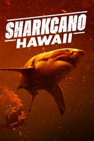 Sharkcano Hawaii' Poster