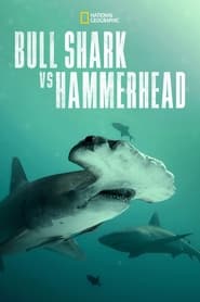 Streaming sources forBull Shark vs Hammerhead