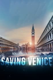 Saving Venice' Poster