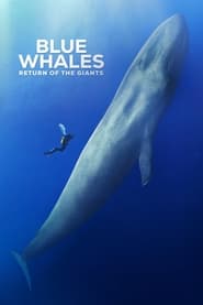 Blue Whales Return of the Giants' Poster