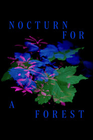 Nocturne for a Forest' Poster