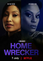 Home Wrecker' Poster