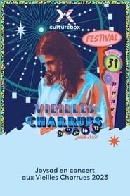 Joysad en concert aux Vieilles Charrues 2023' Poster