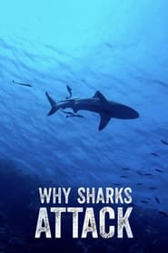 Why Sharks Attack' Poster