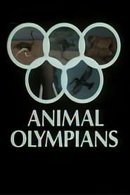 Animal Olympians' Poster