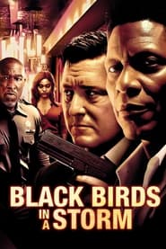 Black Birds in a Storm' Poster