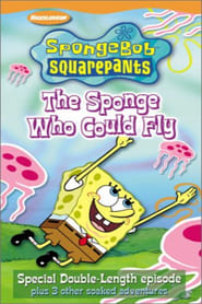 SpongeBob SquarePants The Sponge Who Could Fly' Poster