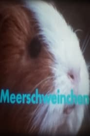 Meerschweinchen' Poster