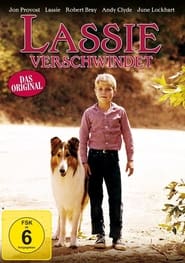 Lassie Disappearance' Poster